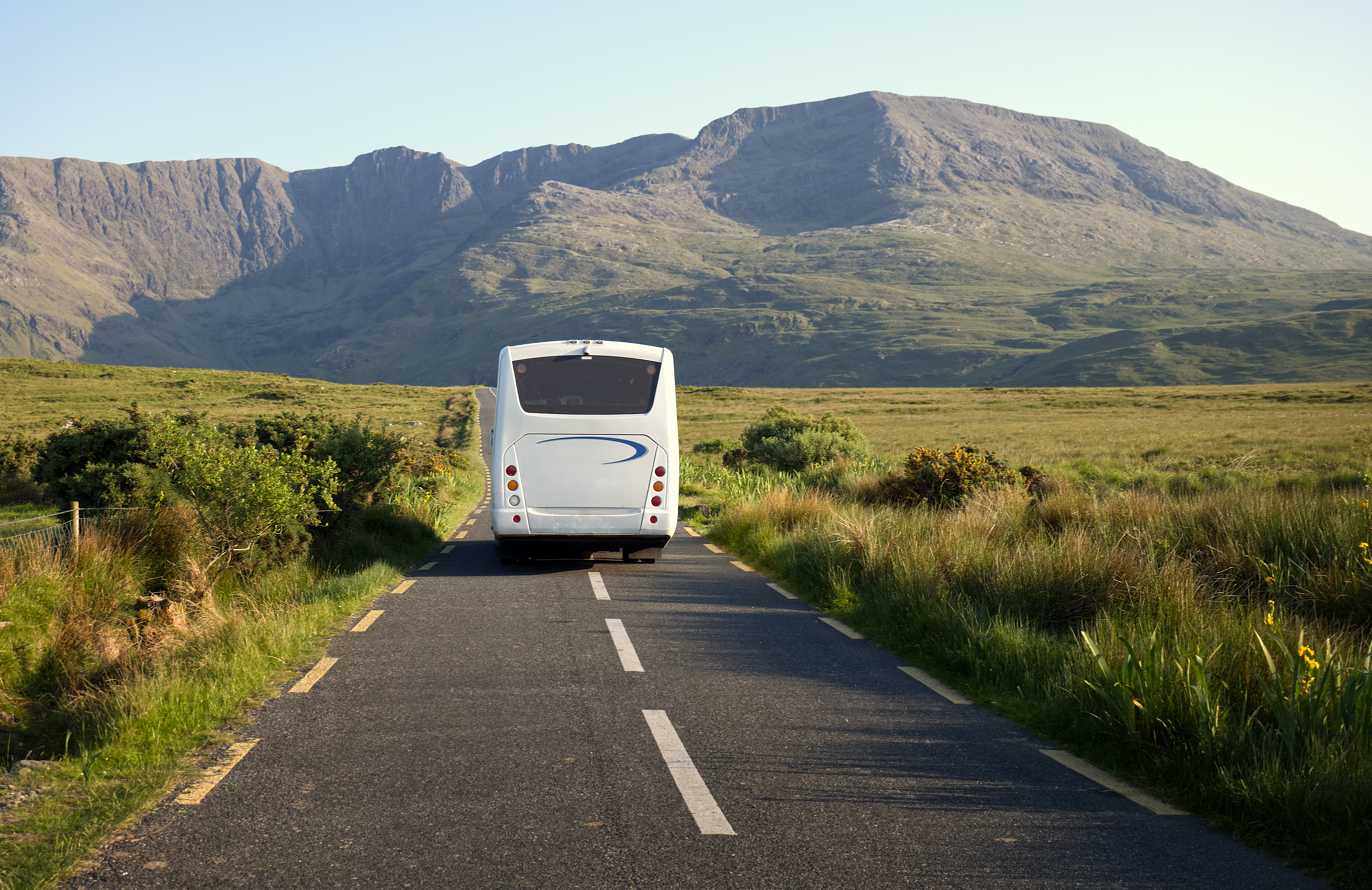 Bus Hire